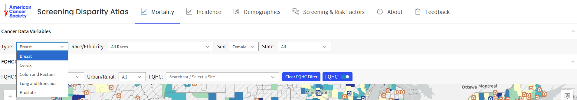 Expanded view of Mortality Map Query Panel (Cancer Type)